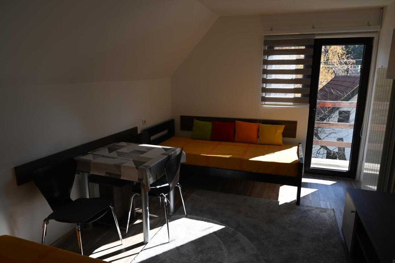Apartman Vukasin Κοπαόνικ Εξωτερικό φωτογραφία
