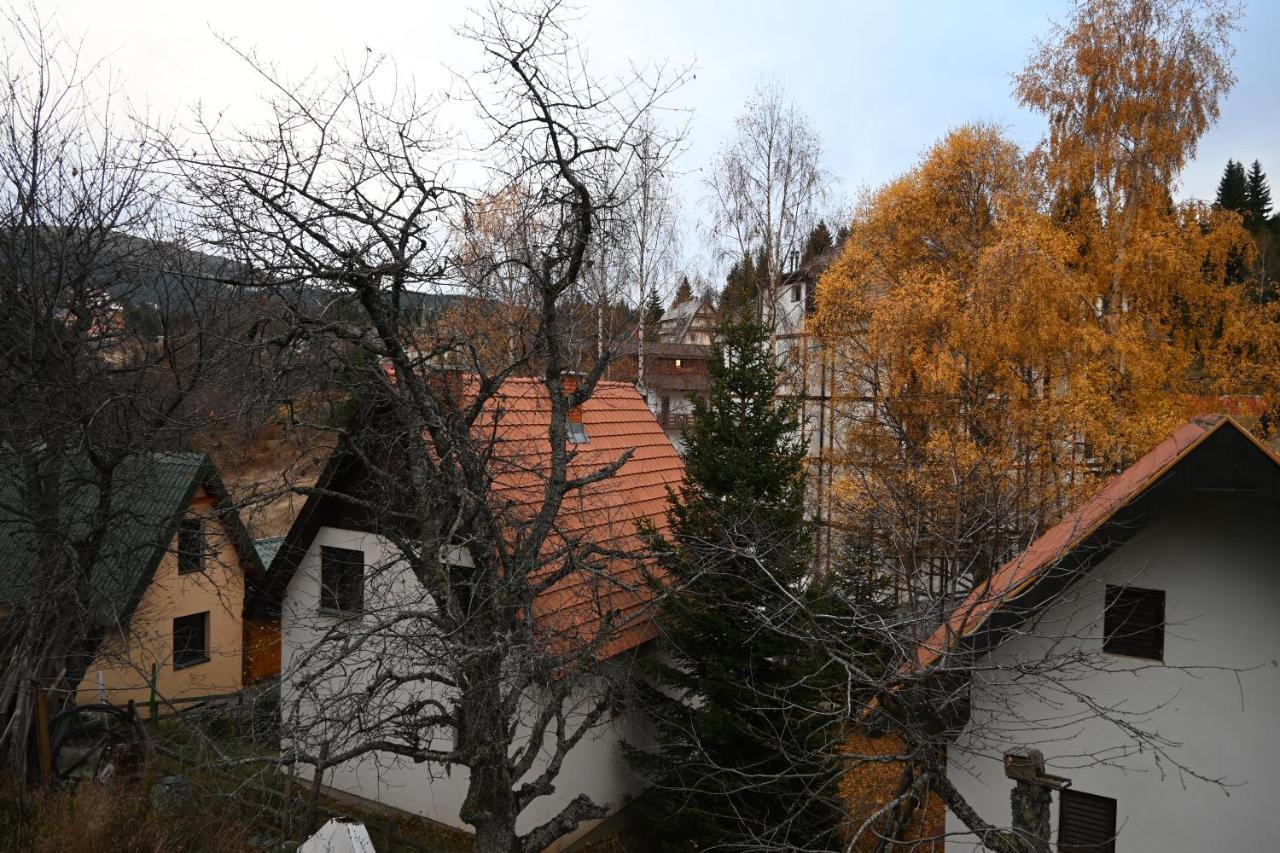 Apartman Vukasin Κοπαόνικ Εξωτερικό φωτογραφία