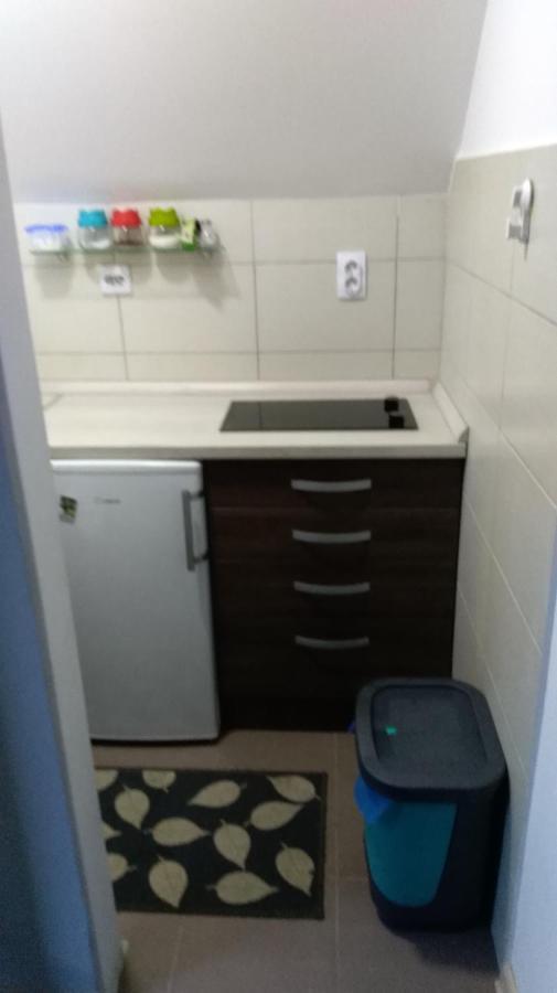 Apartman Vukasin Κοπαόνικ Εξωτερικό φωτογραφία